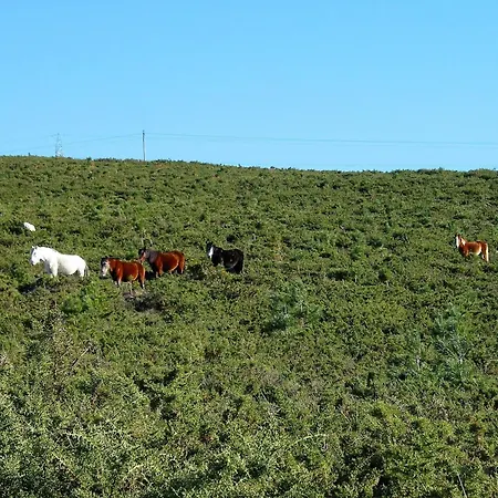 公寓 Playa Monte Pindo - Morada Do Camino 西宜